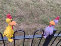 /home//u458753944/public_html/sourcegallery//other/uk 2023/london/IMG_20230919_145907569.jpg